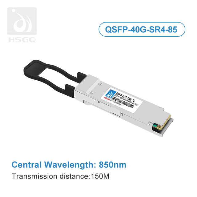 Module QSFP 40G optique pour l'interrupteur