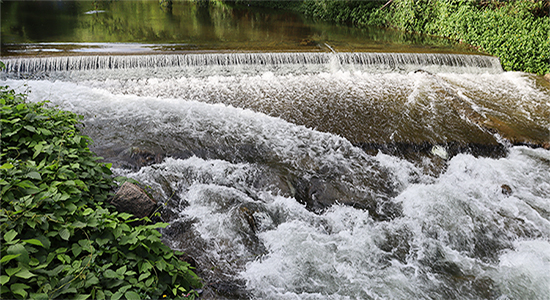 cascade